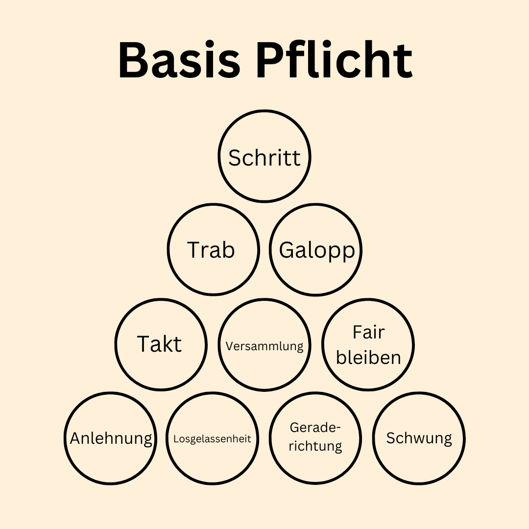 Basis Pflicht