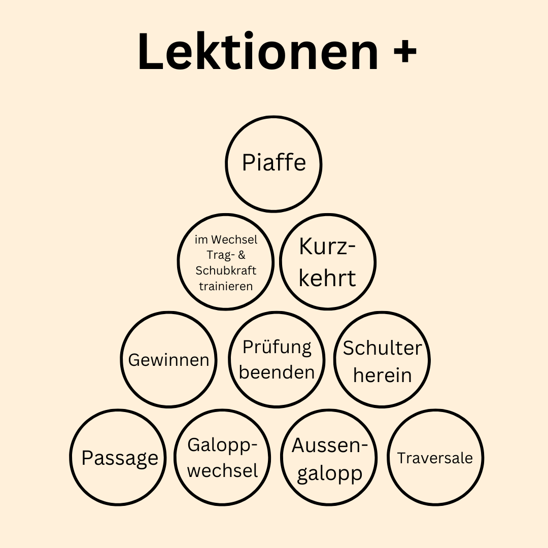 Lektionen Plus